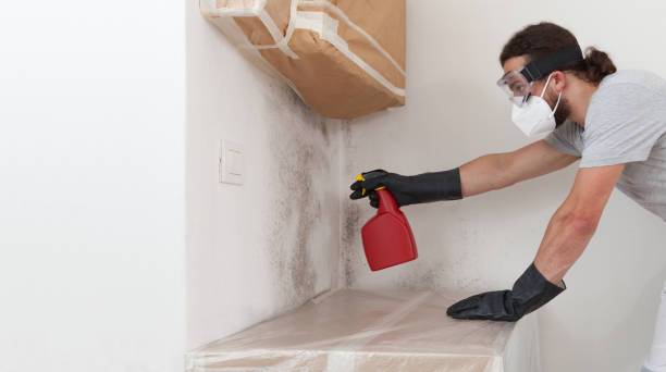 Professional Black Mold Remediation technician working in Danville, VA